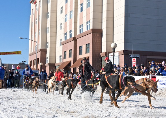 8-time winning team of the GCI Open North American Championship sled dog race