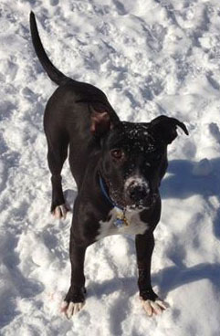 Martha Jones, healthy and enjoying the snow