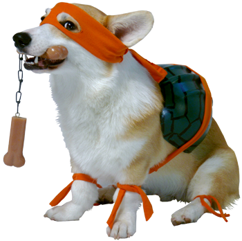 A corgi dressed as Michaelangelo.  You're welcome, internet.