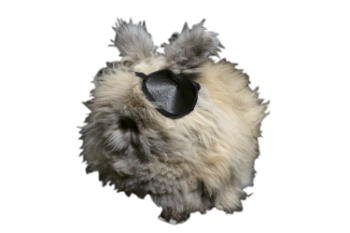 Nick Furry