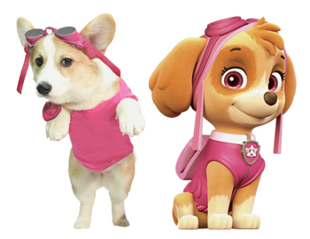 Sammich as Skye