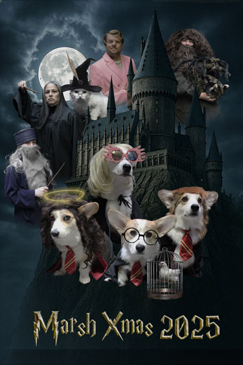 Harry Potter Christmas Card